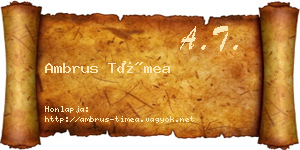 Ambrus Tímea névjegykártya